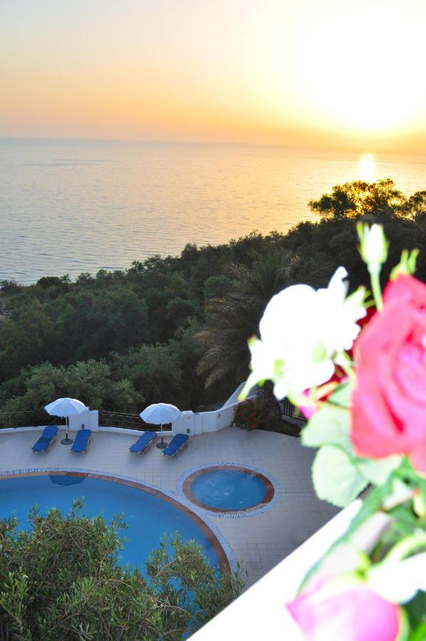 Holiday Apartments Maria With Pool And Panorama View - Agios Gordios Beach Exteriér fotografie