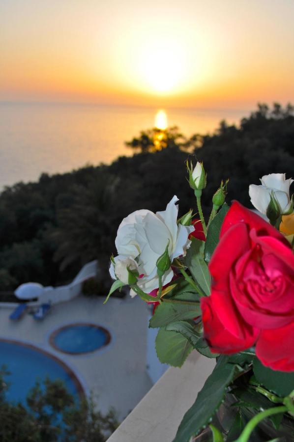 Holiday Apartments Maria With Pool And Panorama View - Agios Gordios Beach Exteriér fotografie